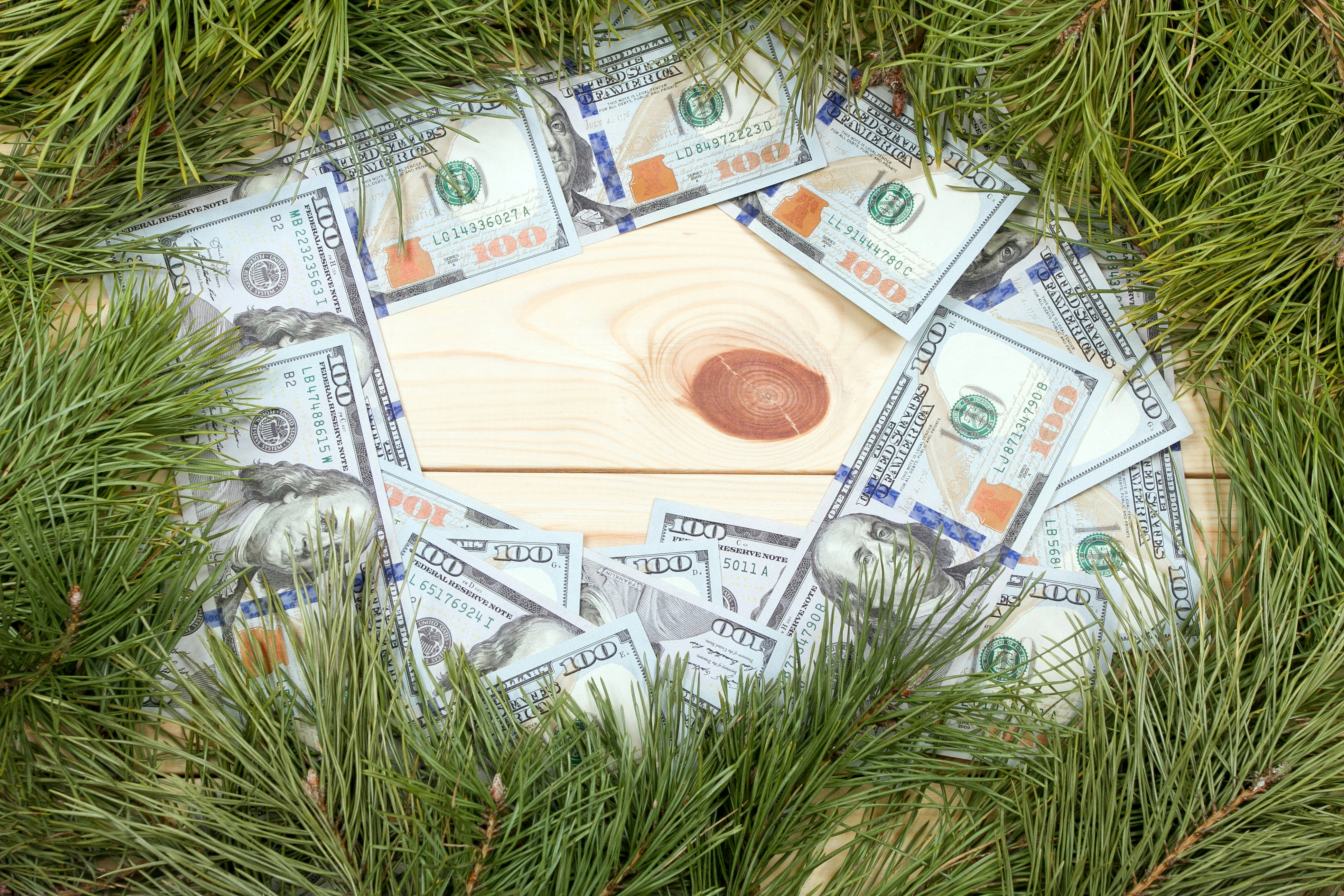 Christmas Greeting Card with Money. Fir Branch, Money And Decoration On Plank. Christmas Fir Tree On Wooden Background